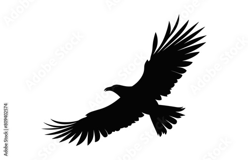 Flying Big Bird Silhouette Vector art  A Flying Bird black Silhouette Clipart