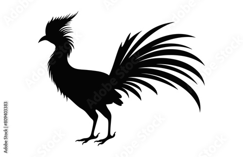 Hoatzin Bird Silhouette vector art isolated on a white background