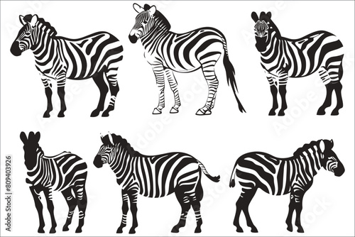 Silhouettes of Zebra, Wild African zebra silhouette, Set of zebras isolated on white background, Zebra safari silhouettes set, Zebras illustration, Zebra, Animal, Zoo, Wildlife, Silhouette, Africa