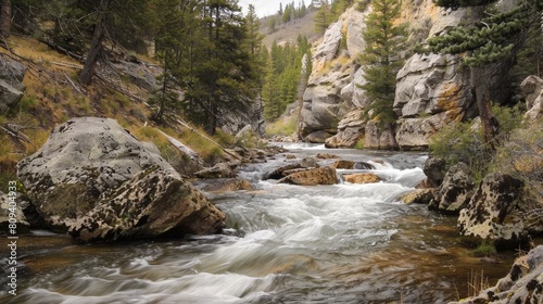 Amidst the rugged beauty of the Wyoming wilderness, the East Fork River flows with a quiet strength and determination, carving its path through the landscape with unwavering purpose and resolve.