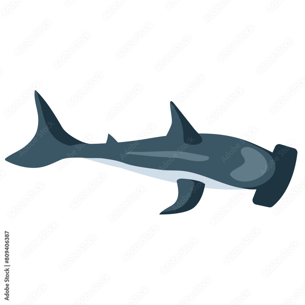 Fototapeta premium hammerhead shark animal