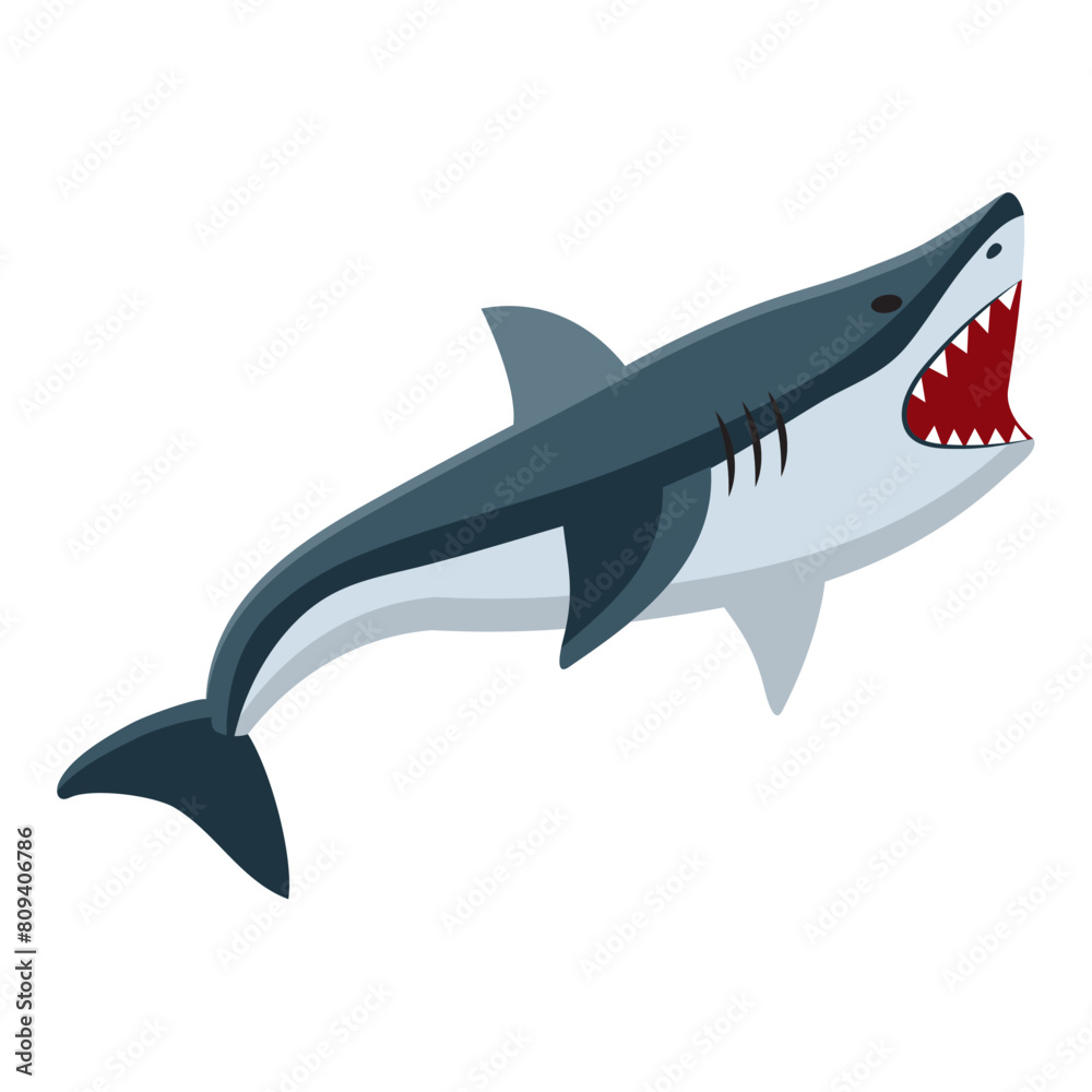 shark marine animal shark marine animal