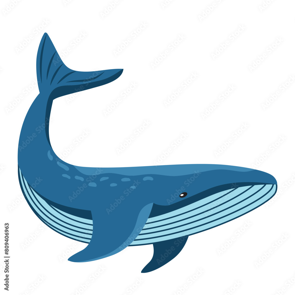 whale animal cartoon