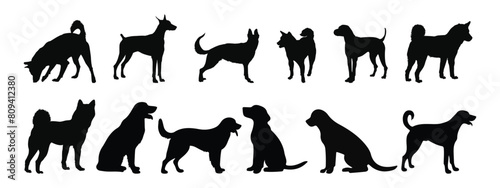 vector, isolated black silhouette of a dog, collection photo