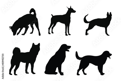 vector  isolated black silhouette of a dog  collection