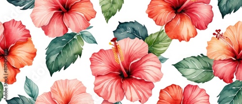 artistic background with watercolor textured hibiscus tropical flowers illustration over white background.