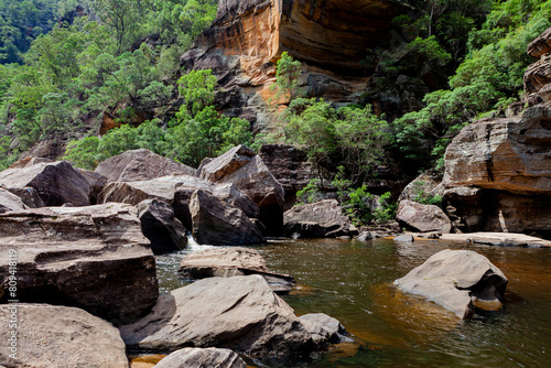 Wollangambe River/Canyon Area, Blue Mountains National Park, New South Wales, Australia