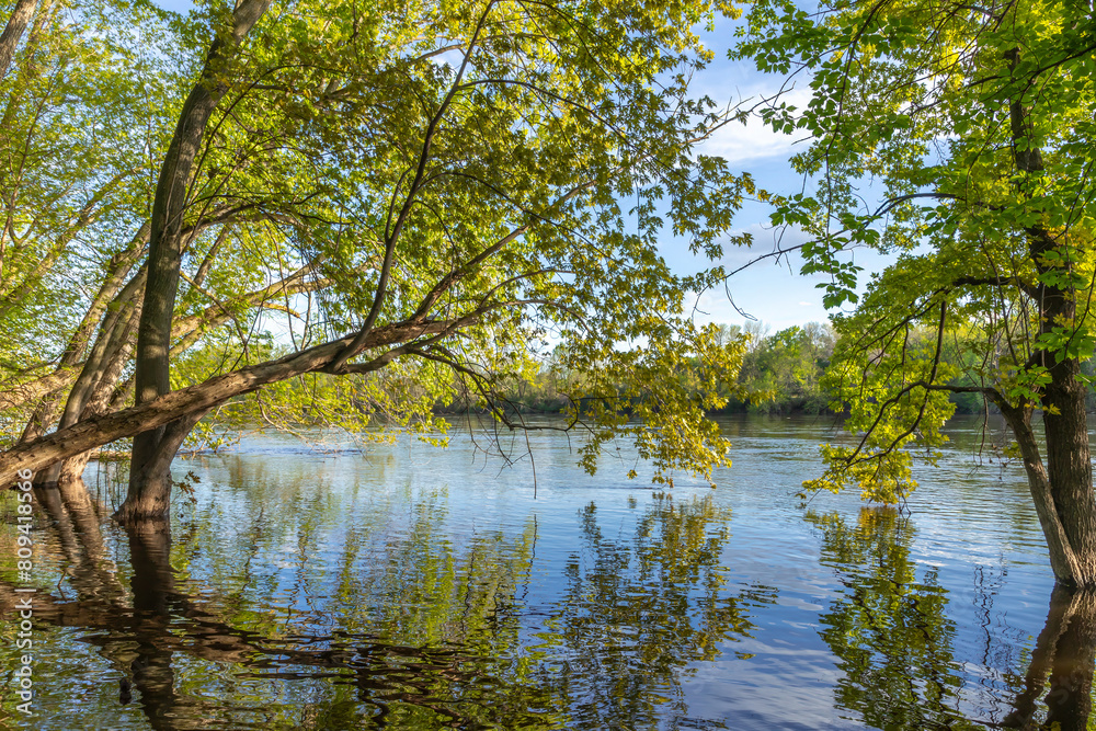 Obraz premium Spring flooding on the Mississippi River in Fridley near Minneapolis Minnesota illustrates climate change impacts in the Midwest
