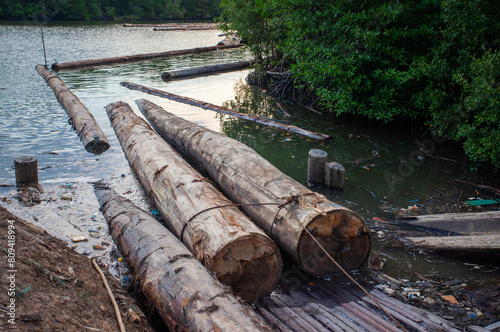 The harvested logs from the forest are sent via river to a cutting factory in Balikpapan, East Kalimantan Indonesia, for processing at the next stage.
