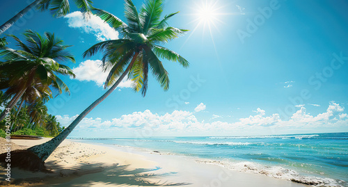 Sunny Beach with Palm Trees