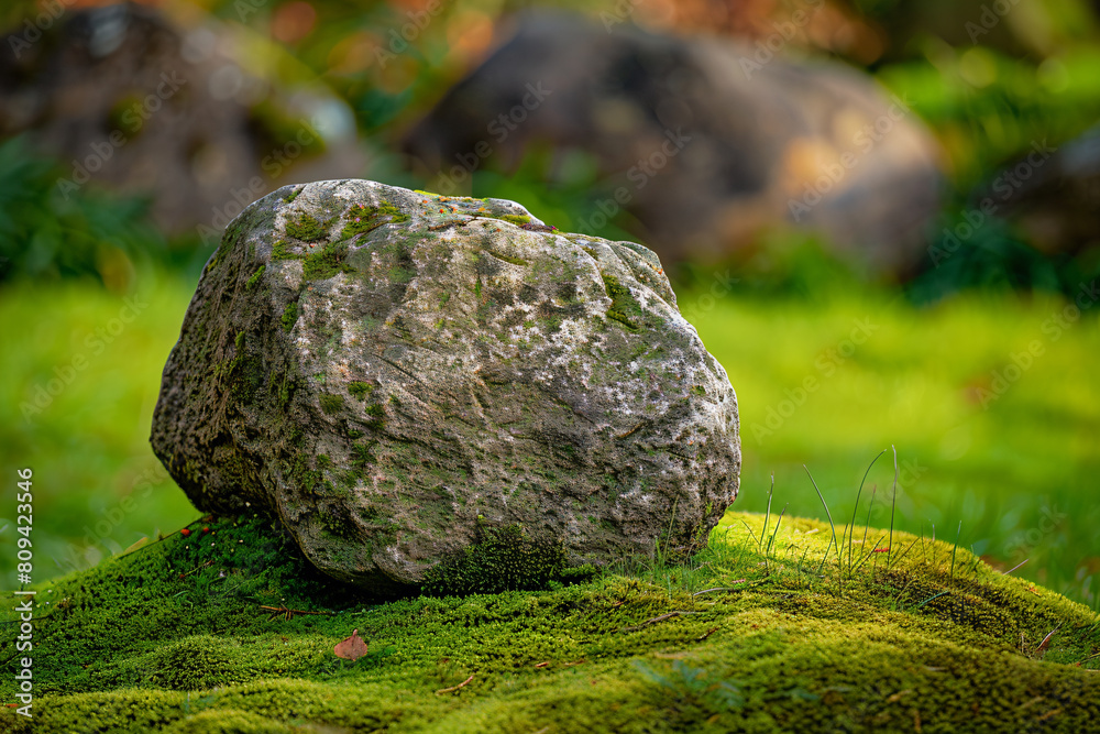 a rock sitting on top of a lush green field a rock sitting on top of a lush green field