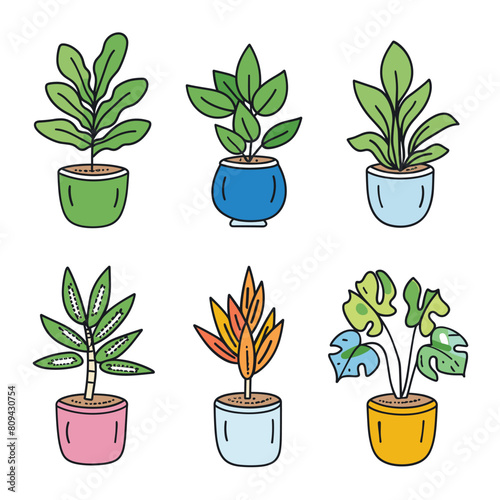Handdrawn potted plant collection includes six different houseplants. Vibrantly colored pots contrast lively green foliage. Simple clean line art style perfect gardening designs