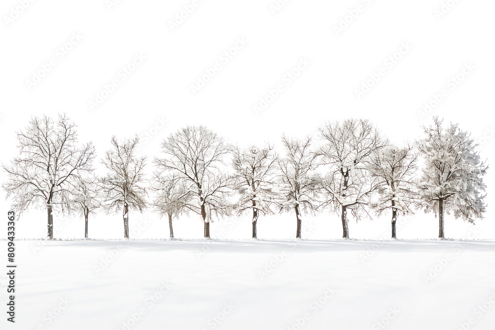 A mesmerizing collection of isolated trees, their snow-laden branches reaching towards the heavens, captured against a backdrop of pristine white., realistic photos on a white background A mesmerizing collection of isolated trees, their snow-laden branches reaching towards the heavens, captured against a backdrop of pristine white., realistic photos on a white background