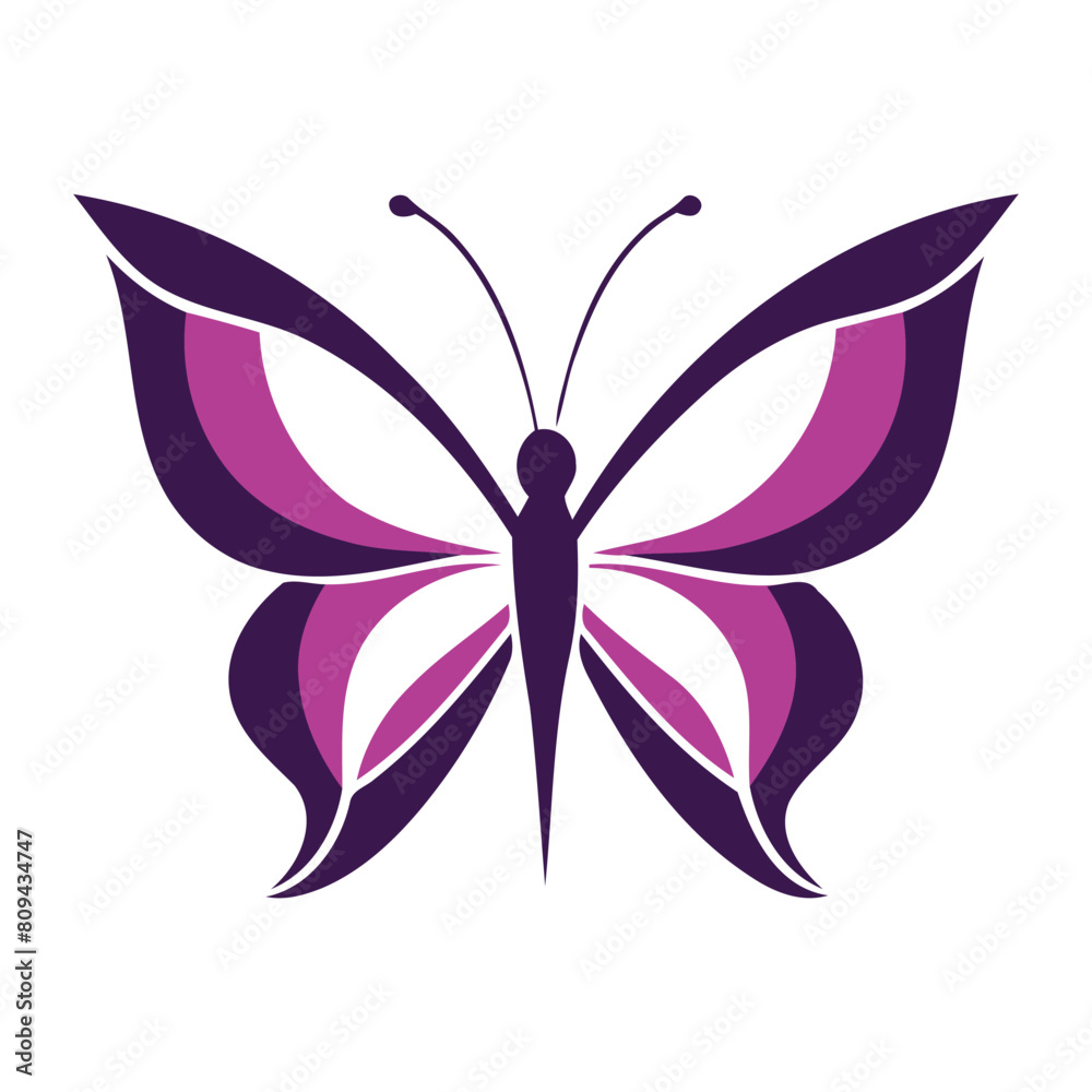 Beautiful butterfly isolated on white background Vector illustration Beautiful butterfly isolated on white background Vector illustration