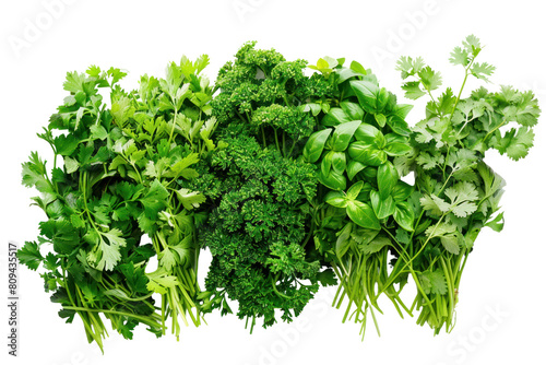 A photo of fresh green herbs, such as basil, parsley, and cilantro, arranged in small bunches on a white background. ., realistic photos on a white background