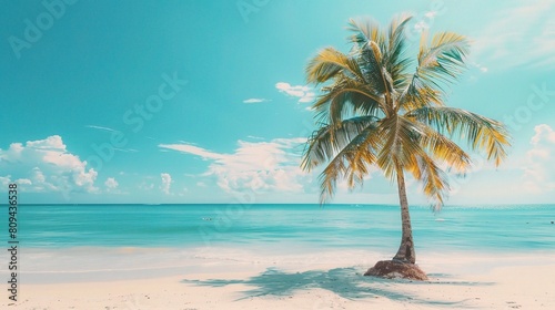 Breathtaking natural landscape of a palm tree swaying gently on a tropical island beach under the sunny blue sky © INK ART BACKGROUND