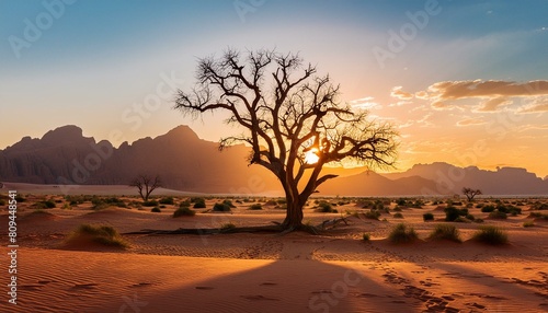 stark, leafless tree standing as a solemn sentinel amidst the barren expanse of a desert under the relentless heat of the sun. The tree's twisted branches and textured bark tell background
