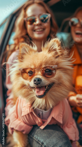 A young couple with a dog in the car wearing sunglasses, they are happy and smiling, with a close-up shot of a cute dog on the front seat.