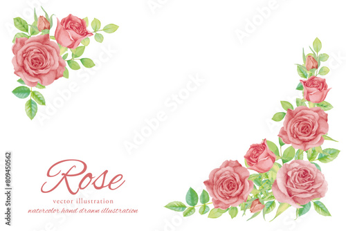 水彩手書きの薔薇の花のベクターイラストフレーム