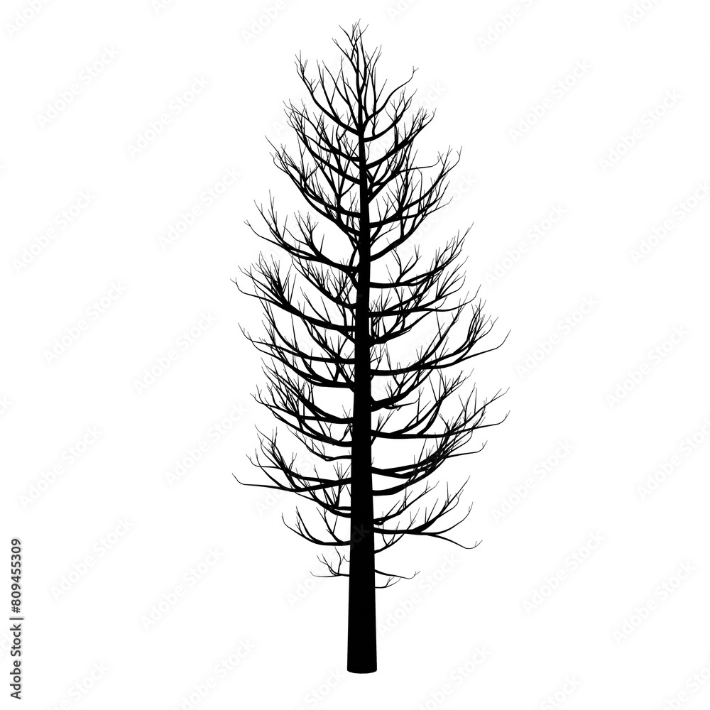 Obraz premium transparent black and white image of a banyan tree