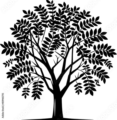 Black Locust Tree icon 1