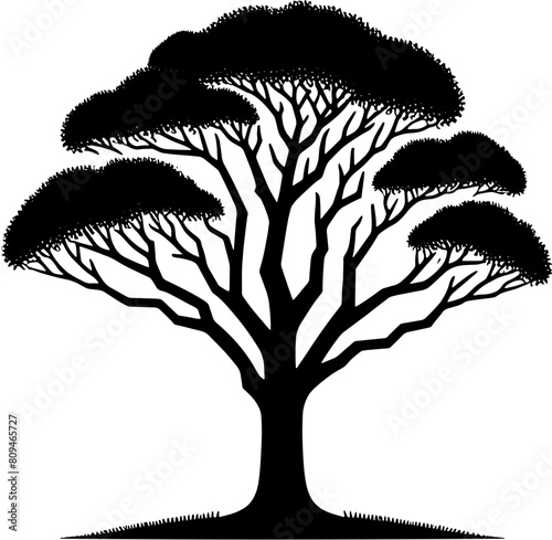 Black Booyong tree icon 13