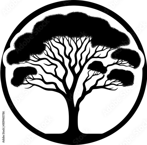 Black Booyong tree icon 10