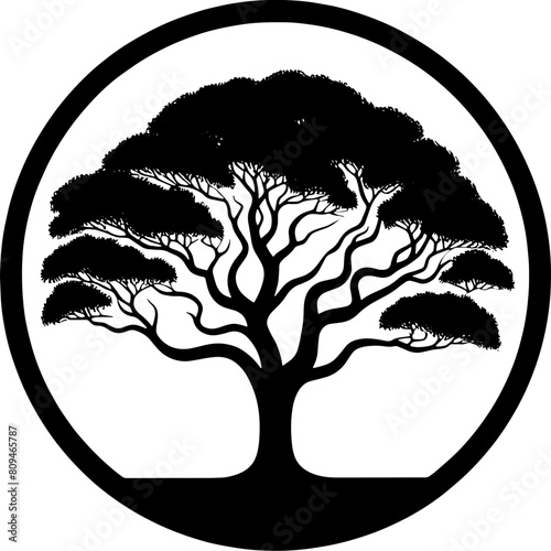Black Booyong tree icon 5