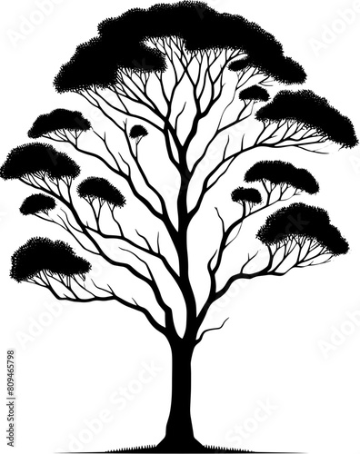 Black Booyong tree icon 9