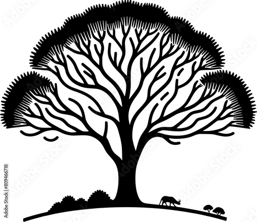 Australian Blackwood Tree icon 24