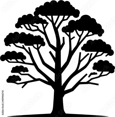 Australian Blackwood Tree icon 19