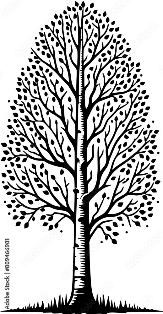 Obraz premium Aspen Tree icon 7