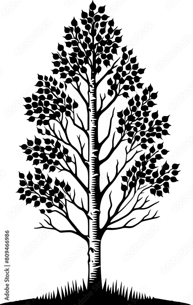 Obraz premium Aspen Tree icon 8