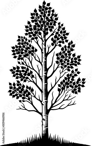 Aspen Tree icon 8