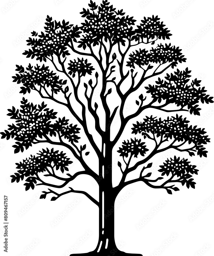 Obraz premium Ash Tree icon 6