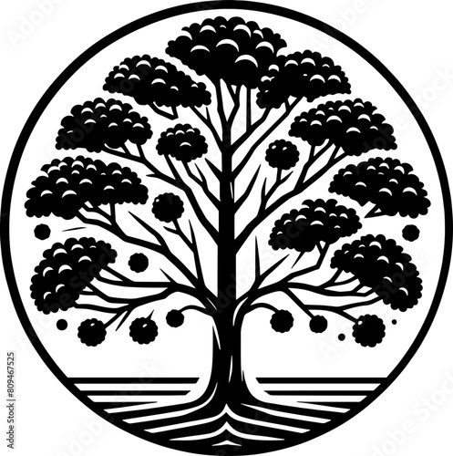 American Sycamore Tree icon