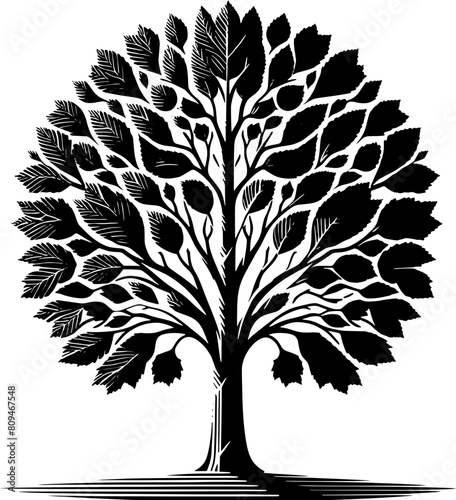 American Sycamore Tree icon 13