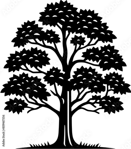 American Sycamore Tree icon 10