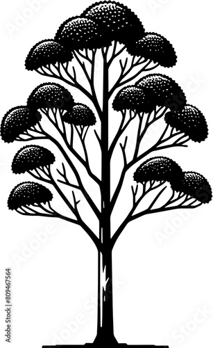 American Sycamore Tree icon 8