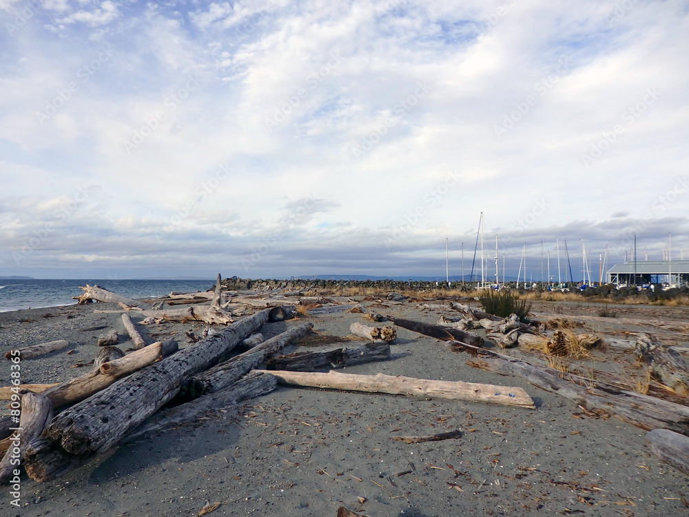 Many logs washed up on the beach at beautiful Richmond Beach Saltwater Park