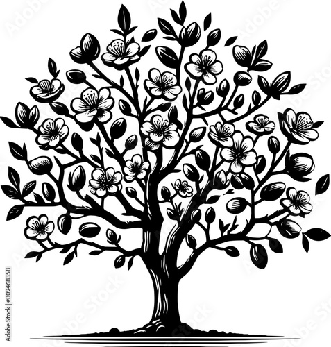 Almond Tree icon
