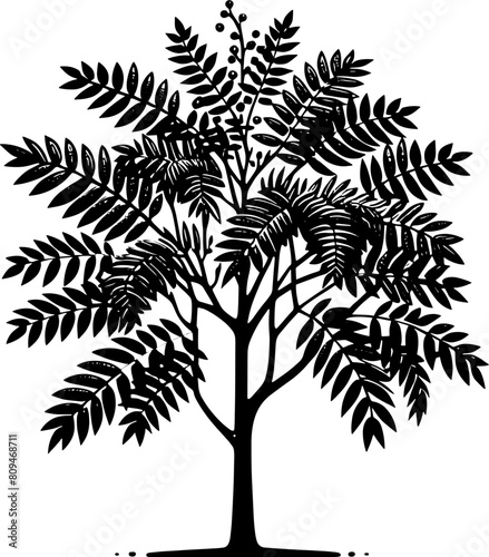 Ailanthus Tree icon 2