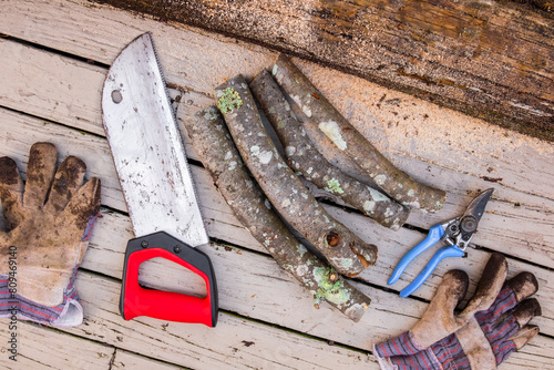 Rusty handsaw over a wooden boards background, logs of cut firewood, garden pruning shears, dirty gloves.