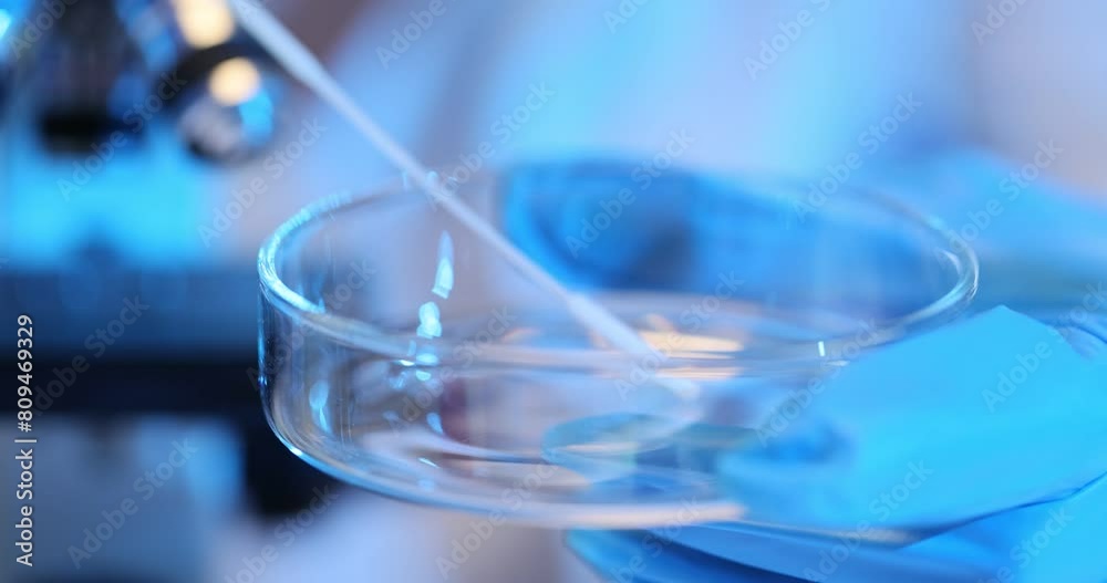 Scientist places sample with spatula into Petri dish Scientist places sample with spatula into Petri dish
