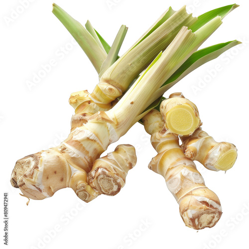 Galangal is a tropical plant whose root is used as a spice photo