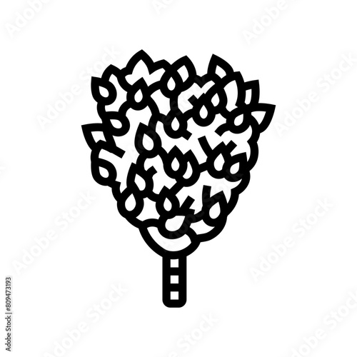 whisk sauna line icon vector. whisk sauna sign. isolated contour symbol black illustration