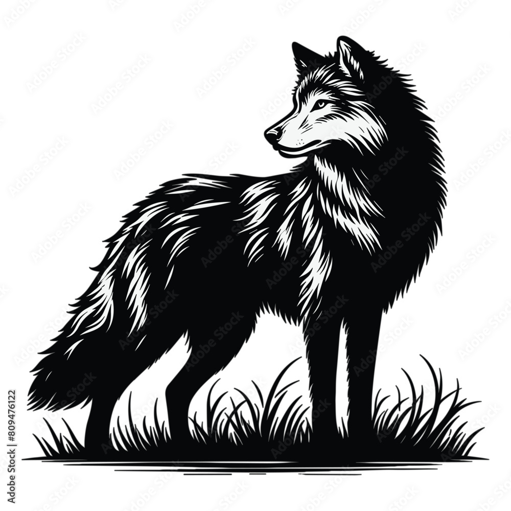 Obraz premium wolf silhouette Vector