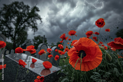 The stark contrast of vibrant red poppies against granite tombstones under a stormy sky each marked with an American flag on Memorial Day.