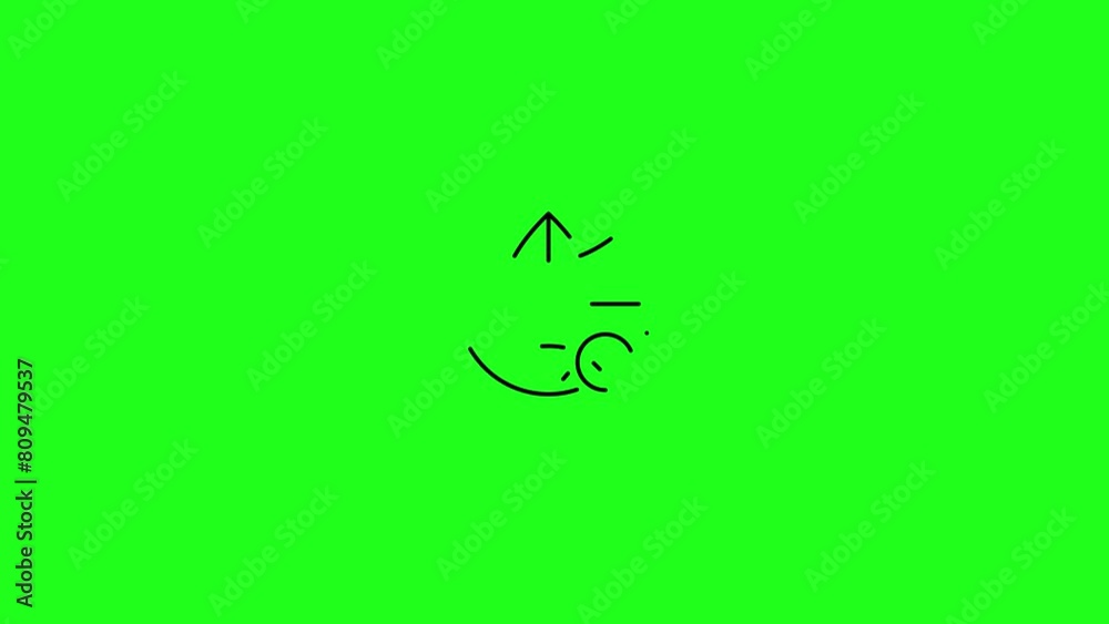 Security confirmation icon with globe 4k icon animation on Green screen background. Security confirmation icon with globe 4k icon animation on Green screen background.