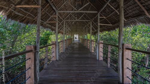 A straight wooden pedestrian bridge with a thatched roof runs through a tropical mangrove forest. Thickets of green trees on the sides. Philippines. Palawan. 